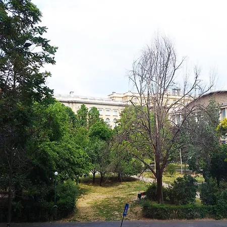 Daire Center