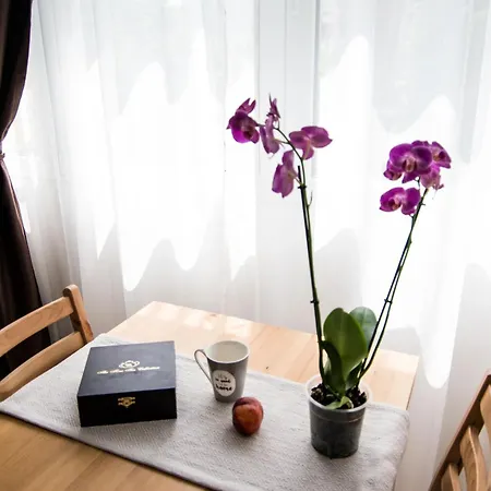 Apartment Center Bucharest