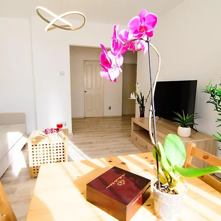 Apartment Center By Alia *